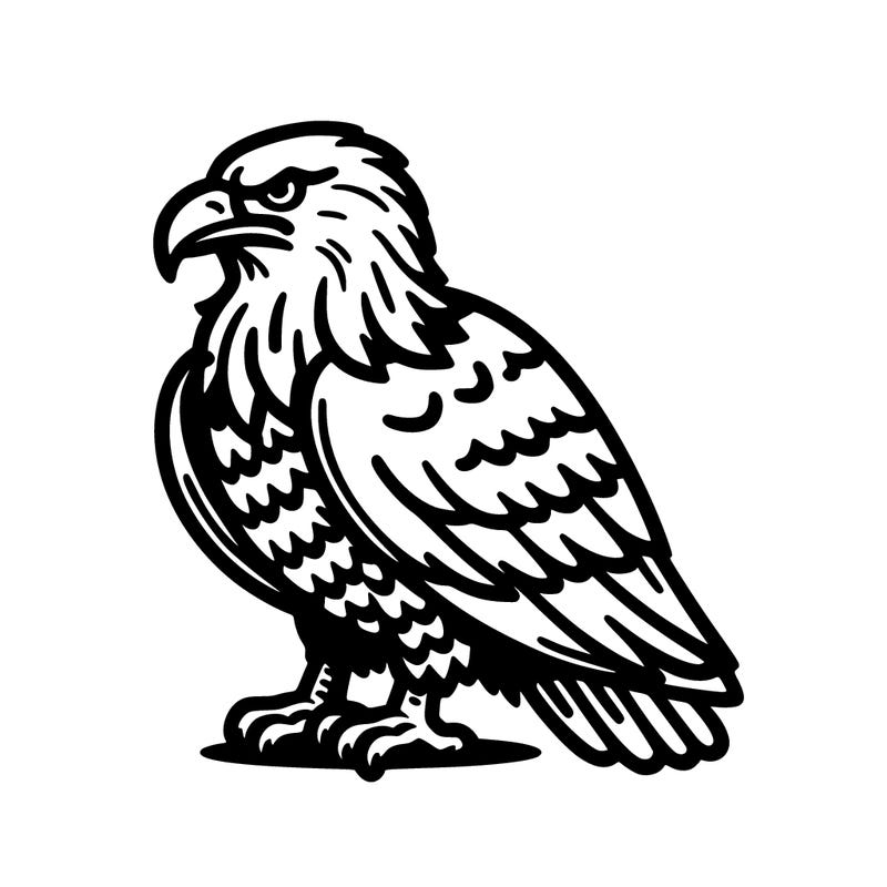 bald eagle
