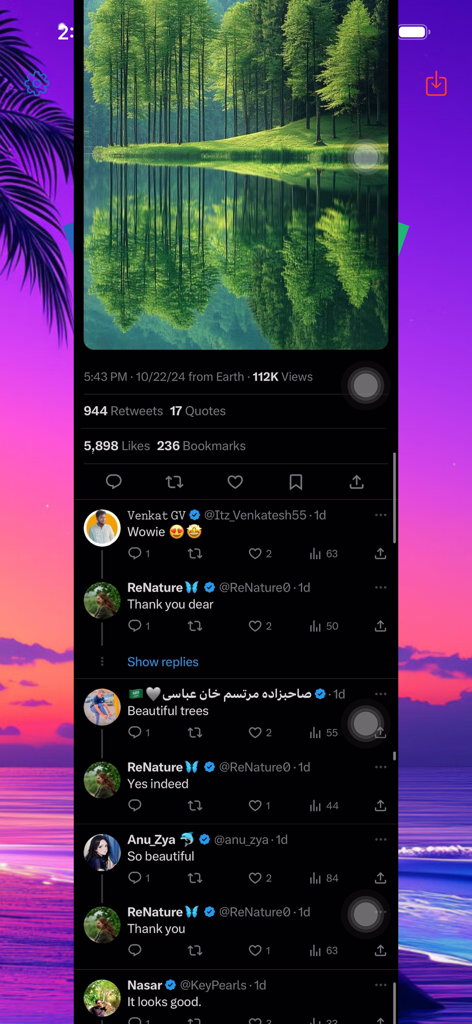 Stitch Photos. - Longa captura de tela vertical costurada de um tópico do X com uma foto paisagística e comentários de usuários