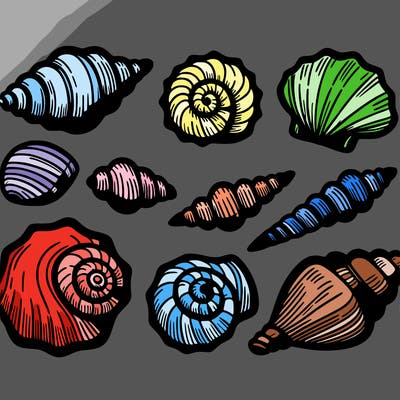 shells