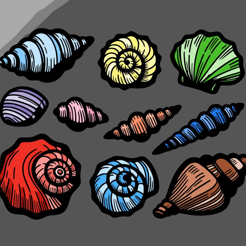 shells