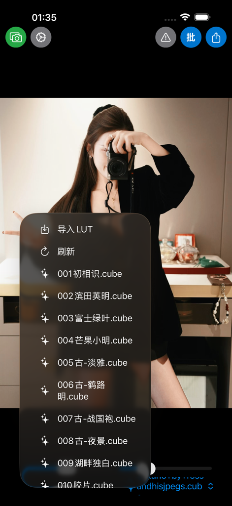 Menu for importing and selecting LUT color filters in the FTP Transfer Assistant app