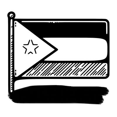 r palestine flag