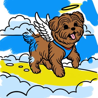 a golden yorie dog going to heaven
