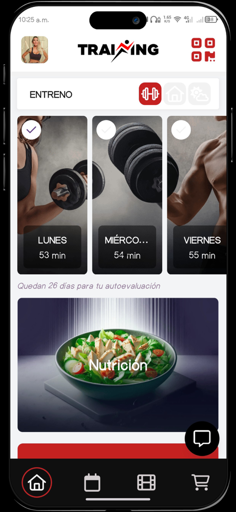Interface do aplicativo Training Athletic Club mostrando rotinas de treino semanais e plano de nutrição