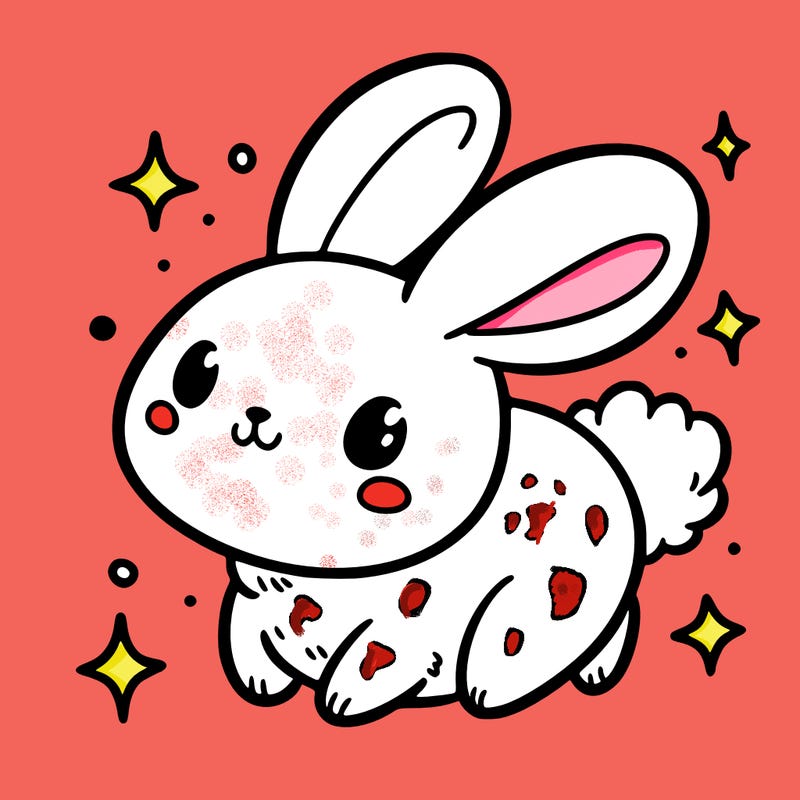 bunny