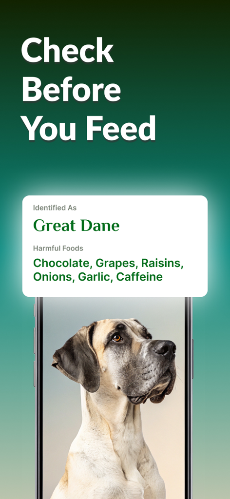 Dog Breed Identifier: Dog Care - Dog Breed Identifier app showing harmful foods for a Great Dane like chocolate and grapes