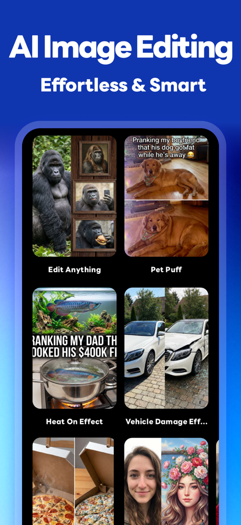 Yapper Image Prank AI - Yapper app interface showing AI image editing options for creating prank photos including pet puff and vehicle damage effects