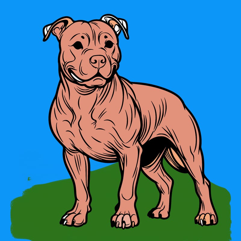 pit bull