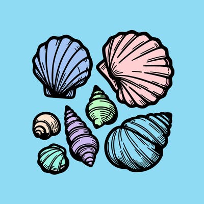 shells