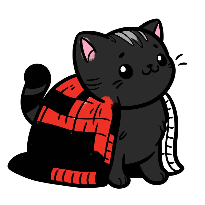 a cat with a tiny blanket