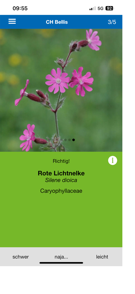 Silene dioica의 올바른 식별과 그 학명 및 과를 보여주는 식물 종 트레이너 인터페이스.