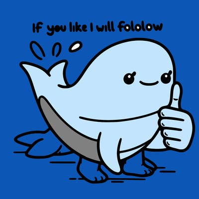 if you like i will follow you