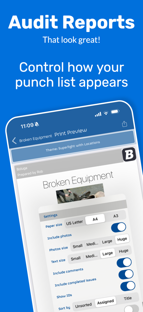 Customizing punch list audit report layout and print settings