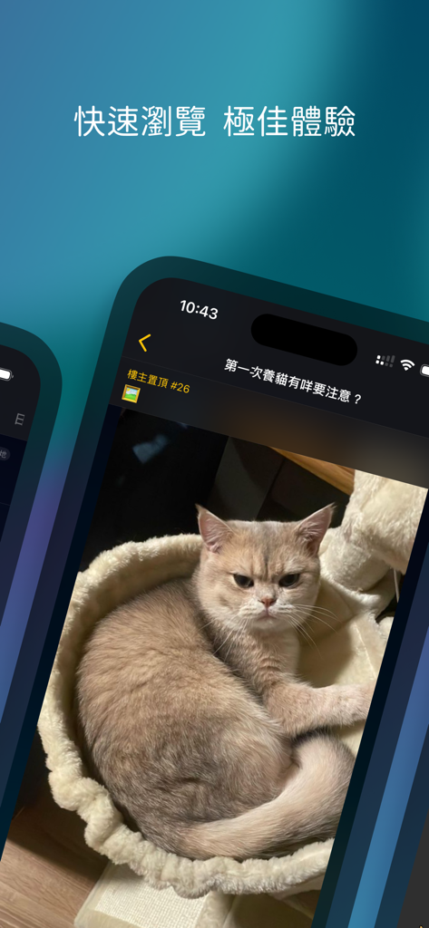 LIHKG 討論區 - Captura de tela do aplicativo de fórum LIHKG mostrando uma postagem da comunidade com a foto de um gato