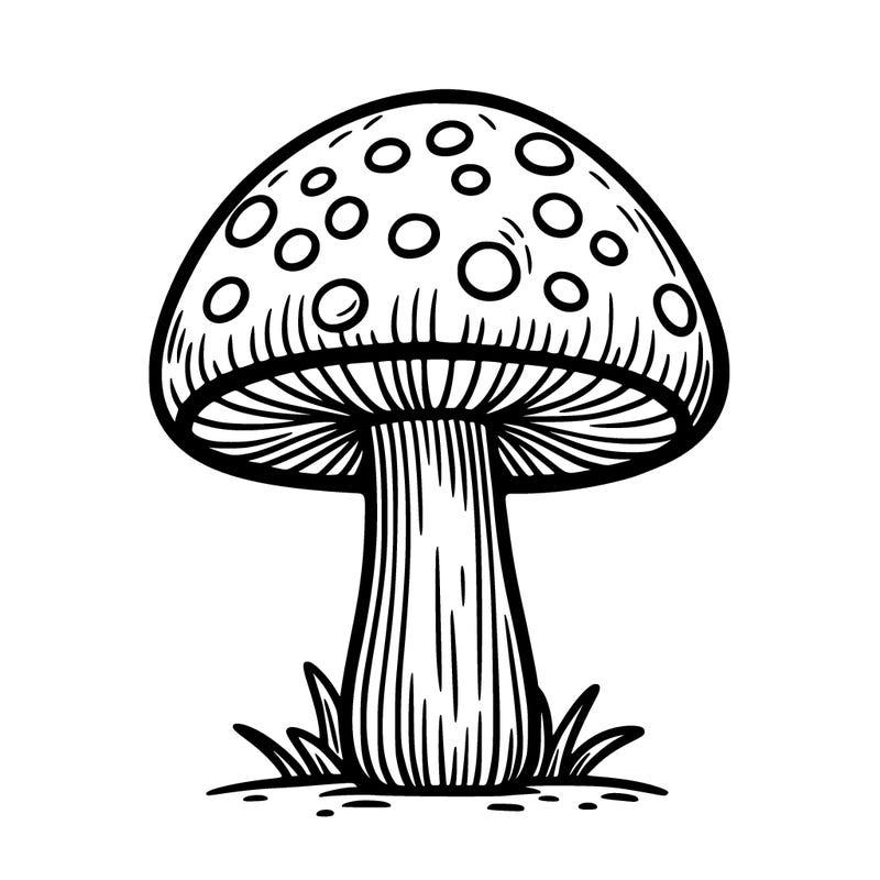 mushroom