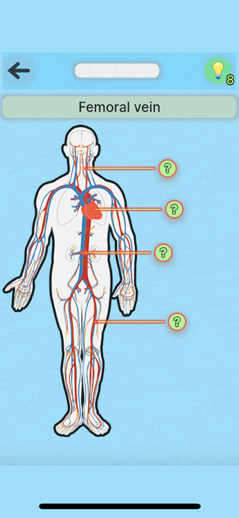Anatomy Game - Pantalla de cuestionario del sistema circulatorio de la aplicación Juego de Anatomía donde el usuario debe identificar la vena femoral en un diagrama humano