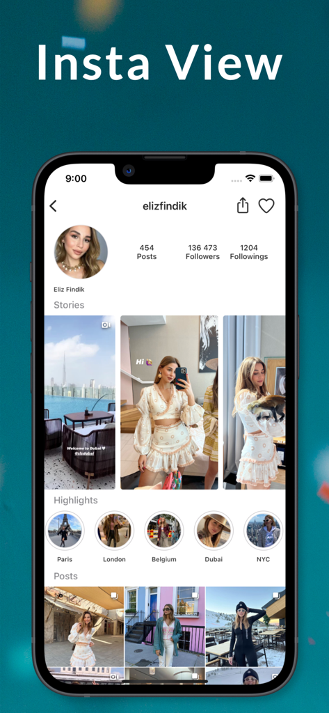 Screenshot of the Picuki app displaying an Instagram profile with stories highlights and posts