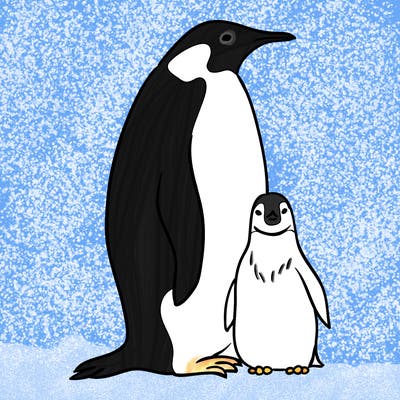 animals_31