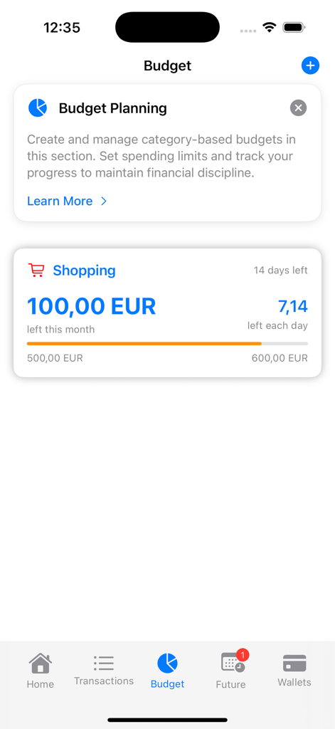 Budget planning screen in the iMoney app showing a shopping budget with progress bar and remaining balance in Euros