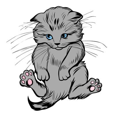 animals_20