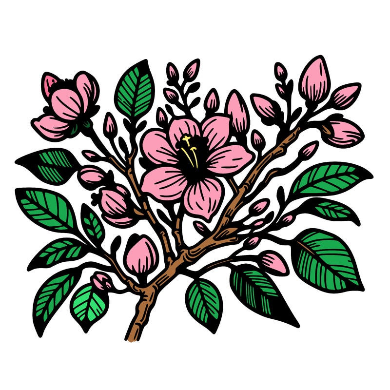 hong kong china bauhinia