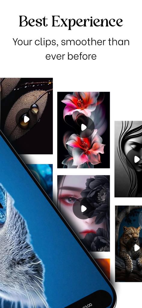 Kapwing ~ Video Editor - Kapwing app interface showcasing an aesthetic video player and smooth clip organization.