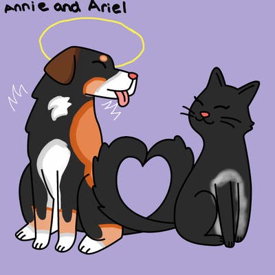 animals_22