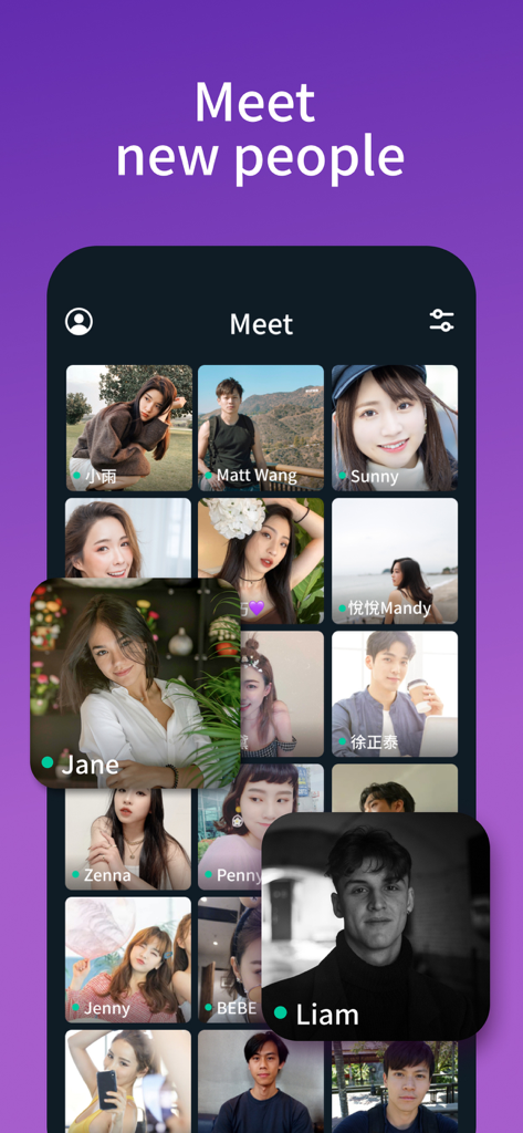 Wave - Audio Live Streaming - Mobile app screen showing a grid of user profiles to meet new people.