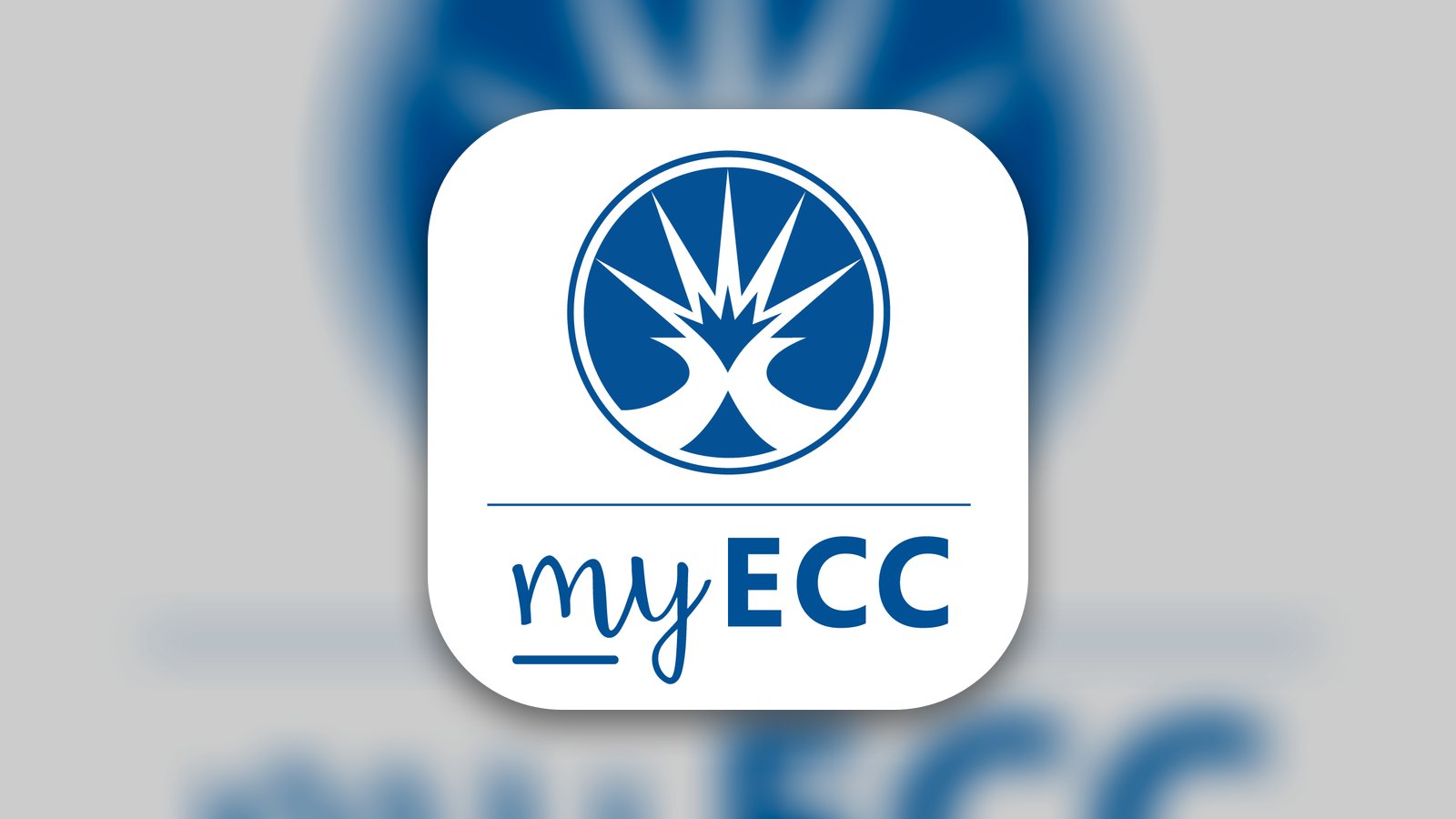 MyECC Experience - Education App | MWM