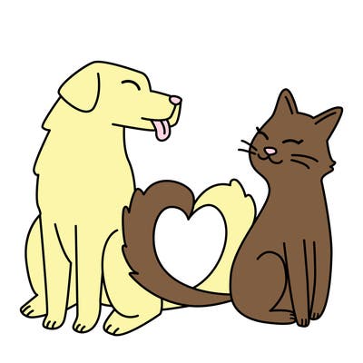animals_22