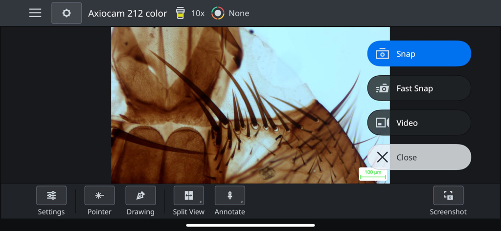 Labscope - Interface de l'application ZEISS Labscope montrant un échantillon microscopique avec des commandes de capture et de vidéo
