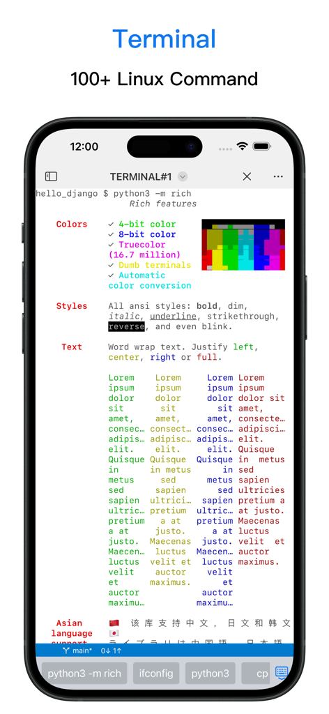 Python3IDE - A mobile terminal interface in the Python3IDE app showing Linux command support and rich text formatting.