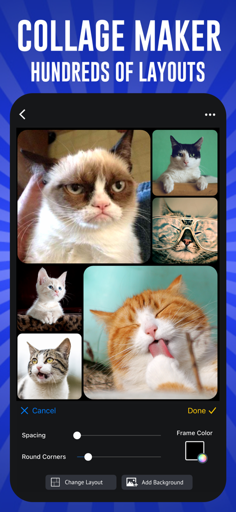 猫の画像を使用したコラージュメーカーを表示するMeme Maker Proアプリのインターフェース。