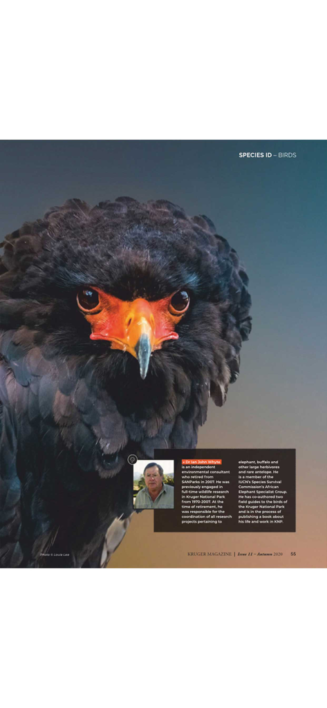 Kruger Magazine - High quality bird photography and expert bio in Kruger Magazine