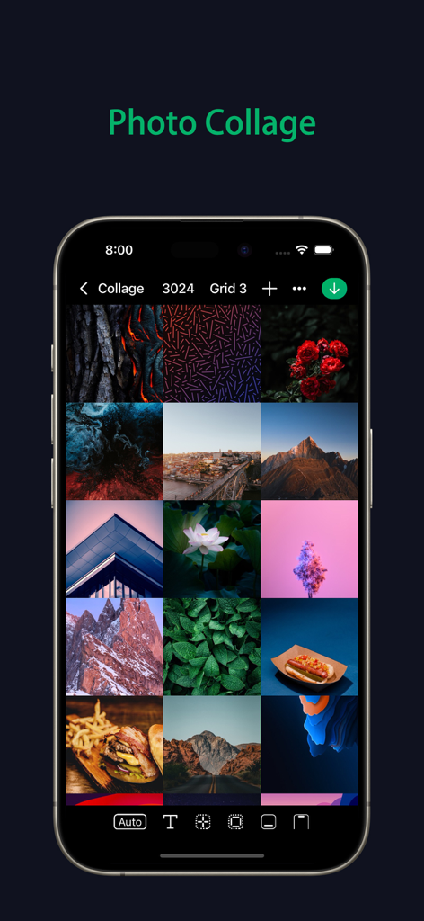 Panostory Pro - Panostory Pro photo collage interface showing a creative grid of images on an iPhone.