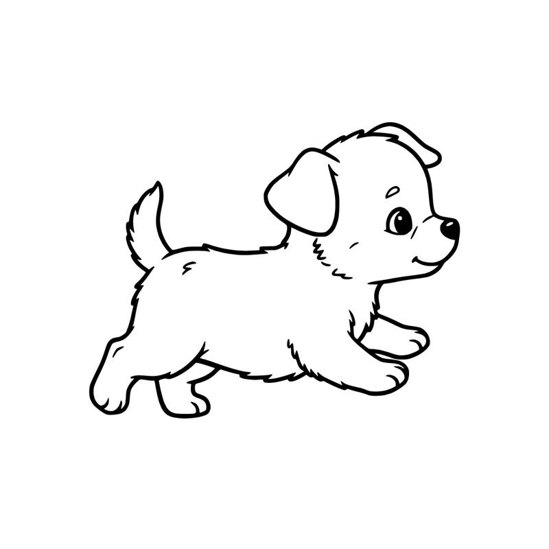 alittle cute babby dog