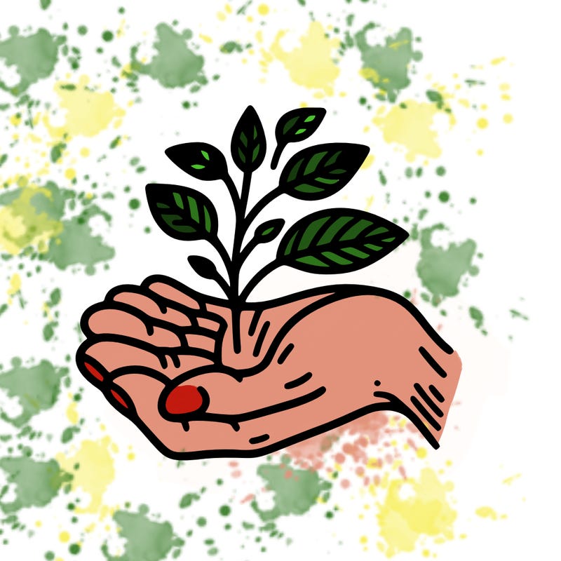 hand with plant