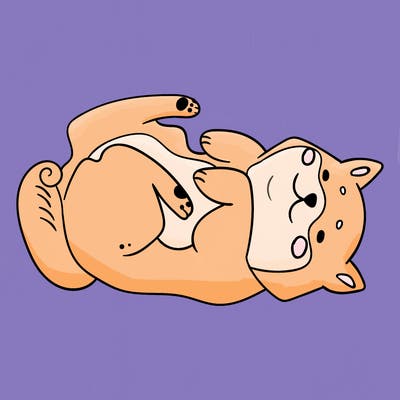 animals_30