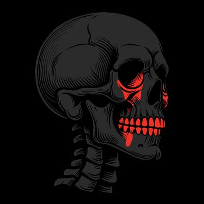 realistic skeleton head