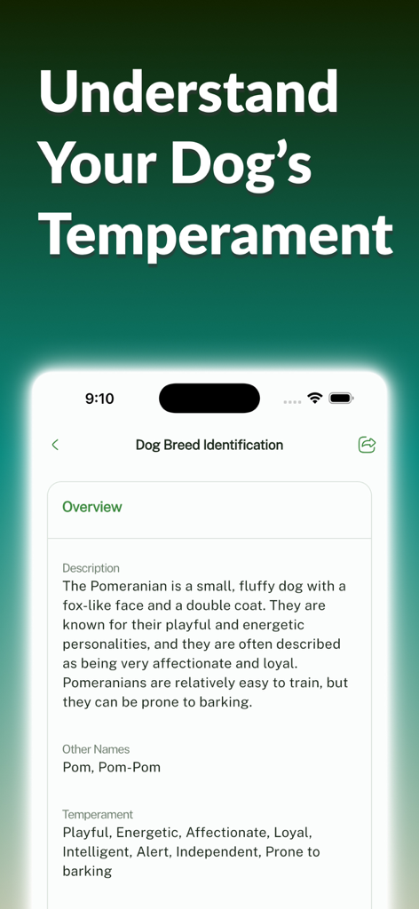 Dog Breed Identifier: Dog Care - Detailed Pomeranian breed description and temperament overview in the Dog Breed Identifier app