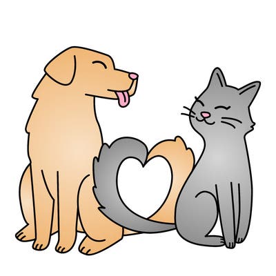 animals_22