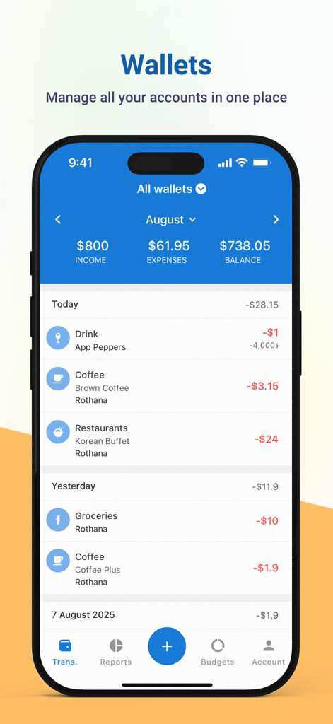 Jamnay app wallets screen showing income expenses and a detailed list of daily transactions