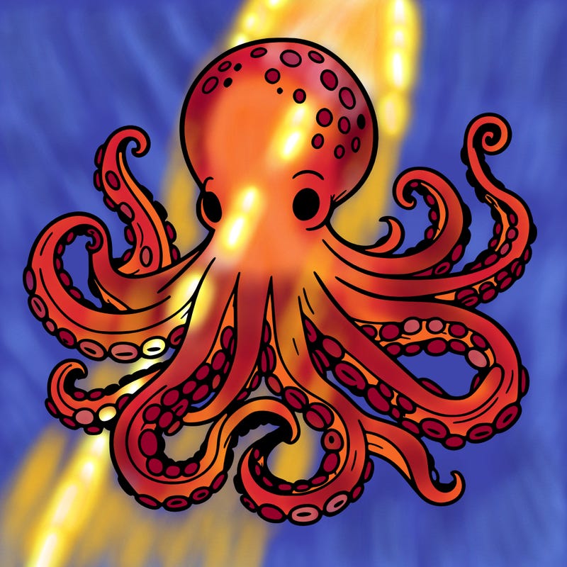 octopus