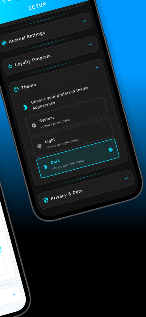 PTO/Time Off Tracker - Setup screen of the PTO Tracker app showing theme options with dark mode selected.