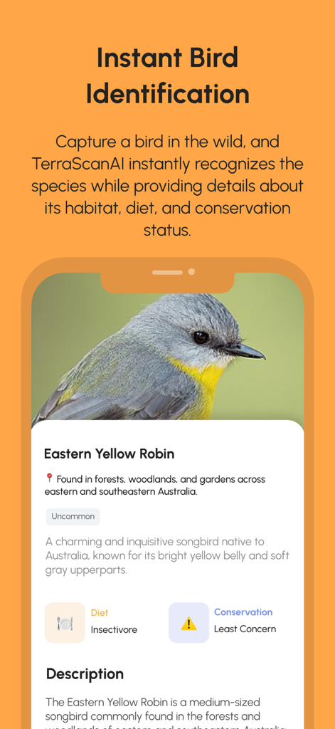 TerraScan: AI companion - Interfaz de la aplicación TerraScan mostrando identificación instantánea de aves para un Mirlo Pardo Oriental con detalles de hábitat y dieta.