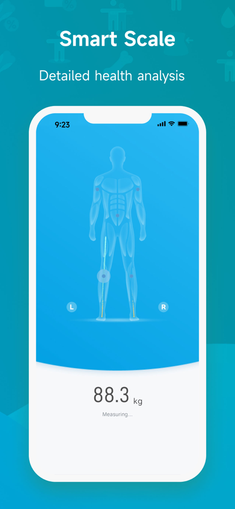Silvergear Fit - Interface de l'application Silvergear Fit affichant la mesure du poids de la balance intelligente et l'analyse de la composition corporelle.