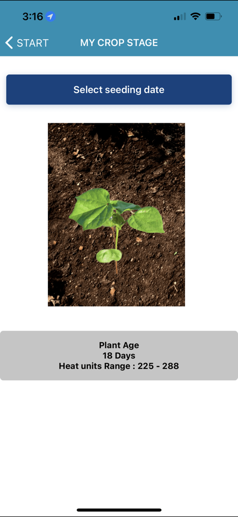 ICAC Cotton Expert - ICAC Cotton Expert app interface showing cotton seedling growth stage and plant age tracking based on seeding date