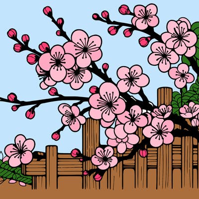 japan cherry blossom