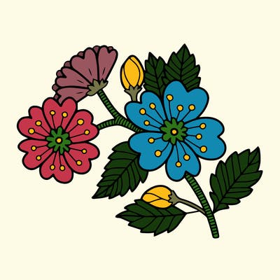 flowers_11