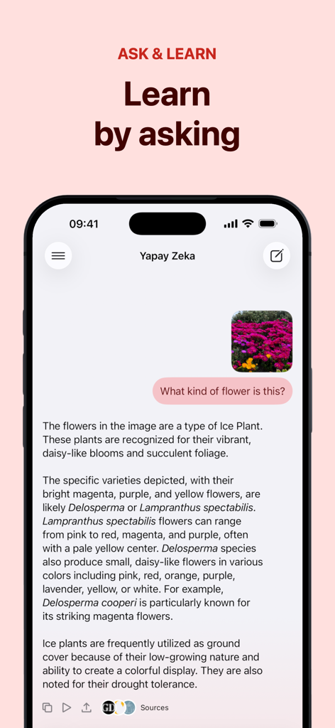 Yapay Zeka app screenshot showing the Ask and Learn feature where the AI identifies a type of flower from an uploaded image.